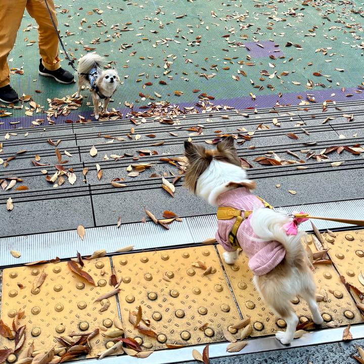 999e772c d16d 4024 b0c1 541d42c81ceb 1763165419423