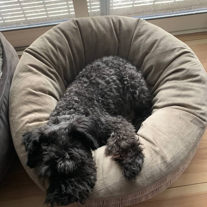 999e77ac fadd 4cff 86d1 a4e273f00216 1691720645390