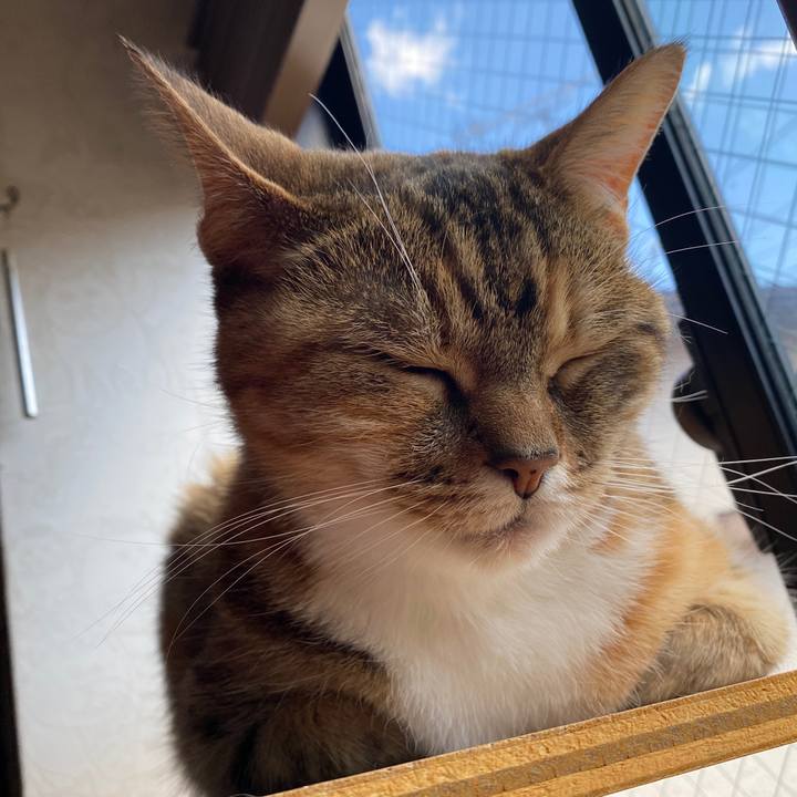 999e86ab b3cb 4f6e a6b5 9dcd84bc5aad 1588830110151