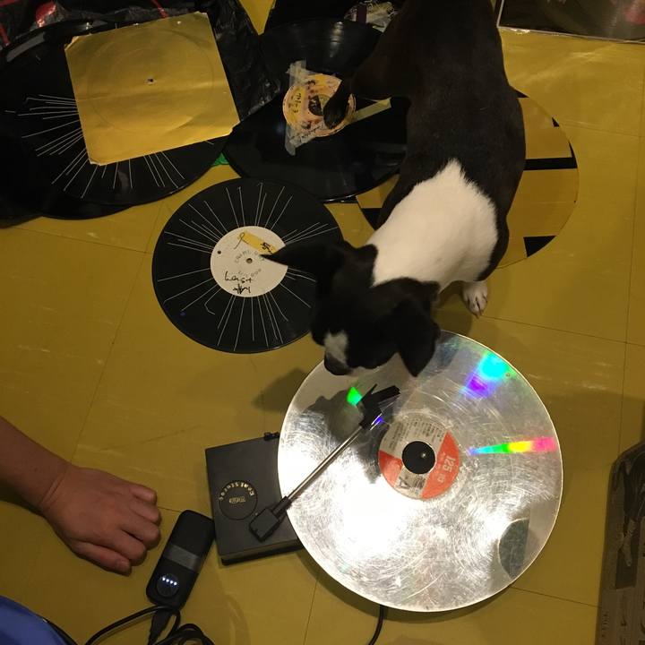 999ebe7c 14e0 4e66 ac94 3b7ef808e4f7 1515550268622