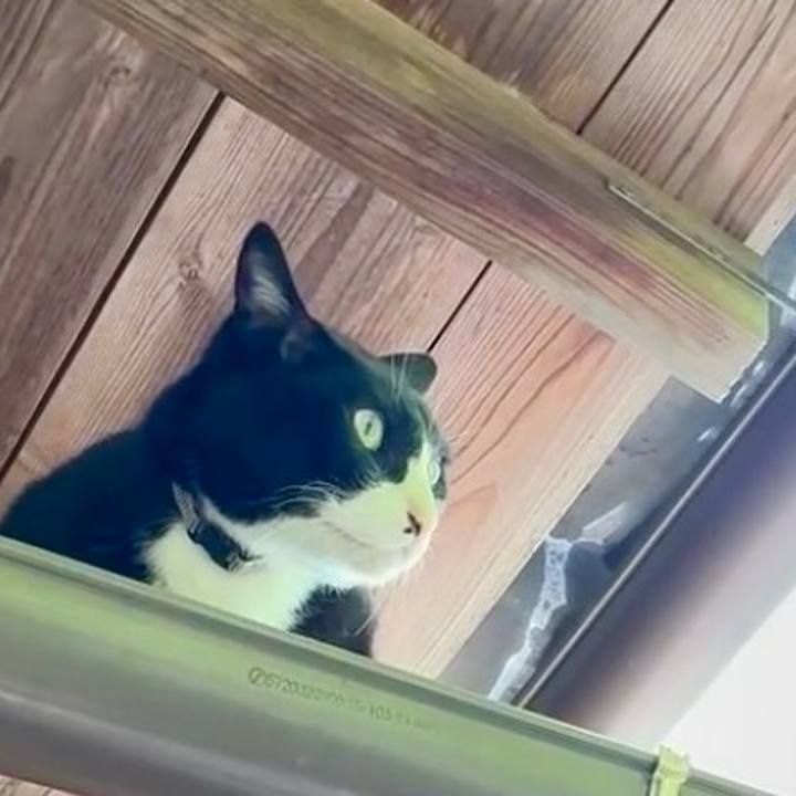 999ed08a 4421 4a26 8b3c 269c6ac729fc 1745497403560