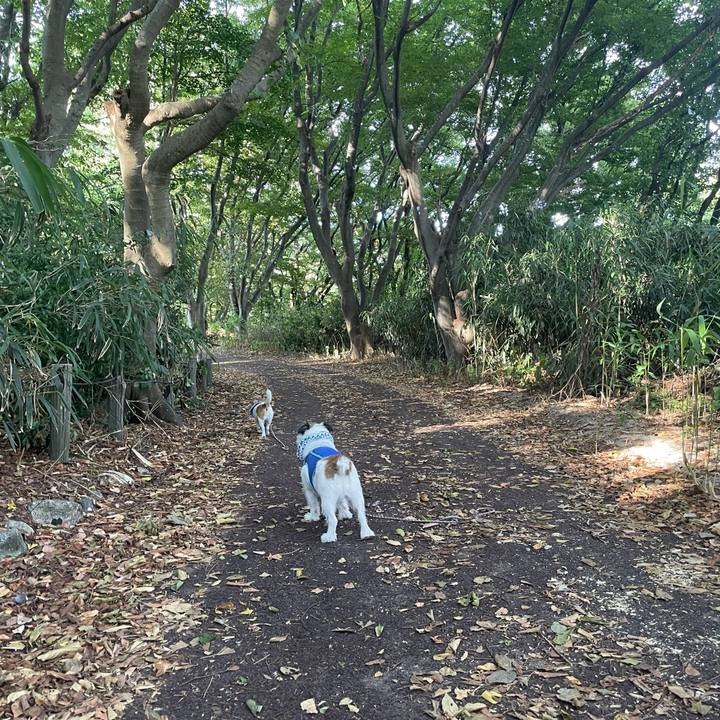 999f2833 cab3 4003 914d 812ff5028b82 1693090938793