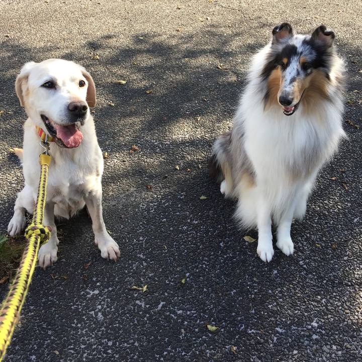 999f3abb a3c4 4a69 a798 9eed99f35dfc 1564747858211