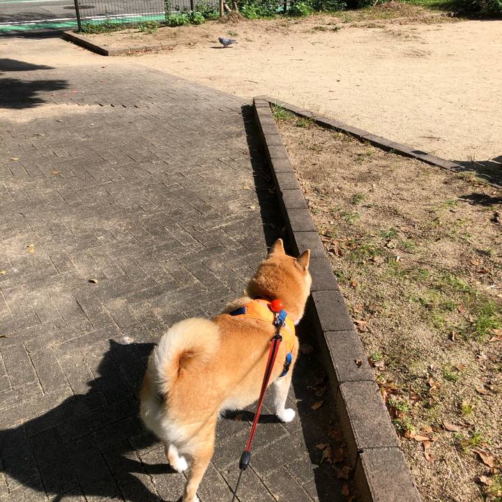 999f534d d957 4afb a656 40f71b96b800 1603773739638