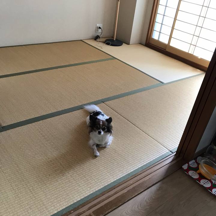 999f5742 e86e 4291 a666 c7f77a46bfd6 1568510190012