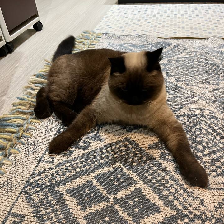 999fb1a4 bc03 44d8 a7e4 849420511a17 1637552288518