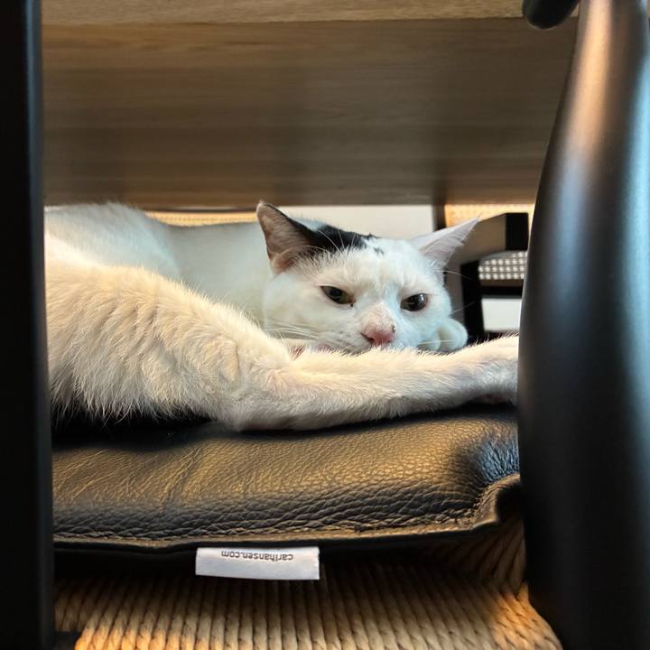 99a00a40 a2ea 4b30 ad3b 79199a28c381 1757034565140