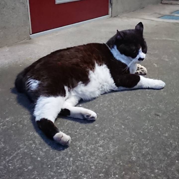 99a044d5 62bf 470f b776 2b7df6870655 1653820138592