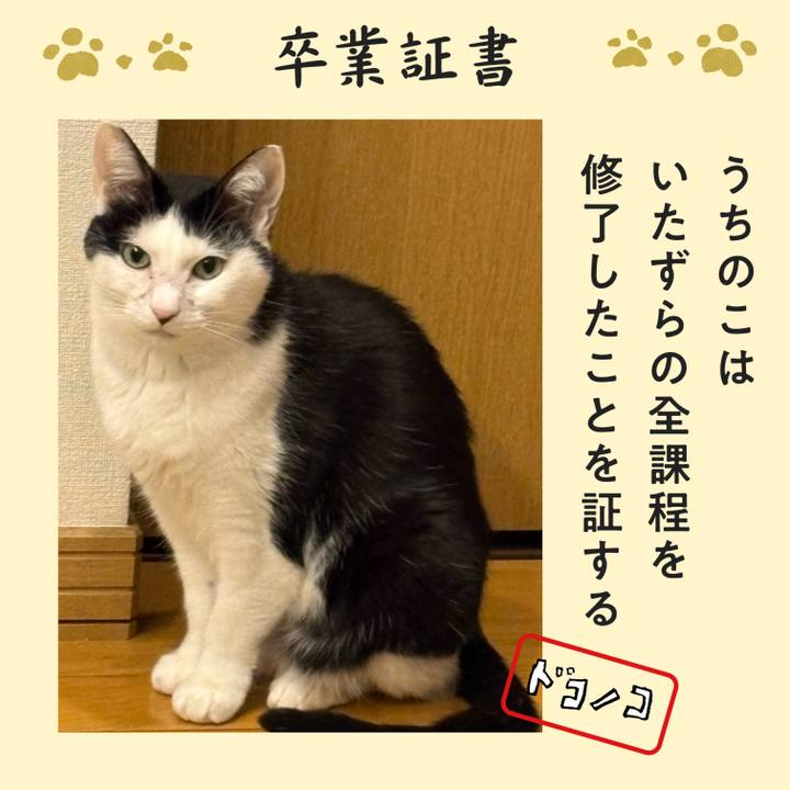 99a063c1 9b70 460a 9e6d 464735cf71b3 1772186265135