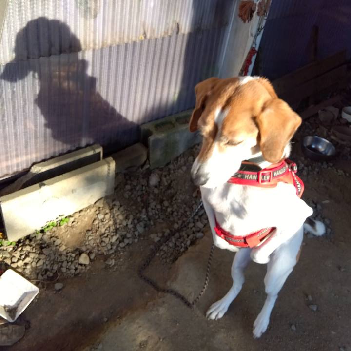 99a08813 b0d5 479f 884a baea7c25e0c9 1703665638082