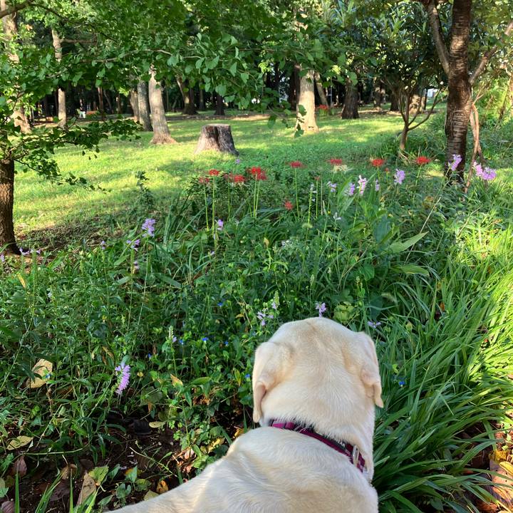 99a0b901 0507 4db2 baef 00120eaab572 1663542177705