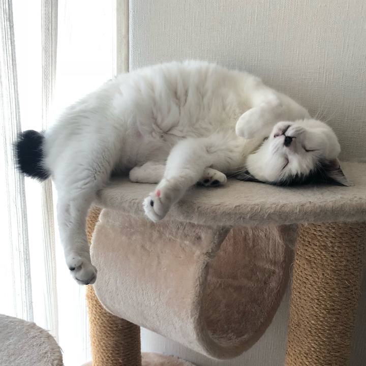 99a0df63 ad57 4b80 be47 efb2250213af 1535325903104