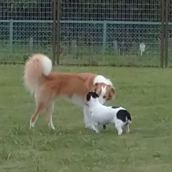 99a0e98b 18d6 48e3 a8a6 121707e7b40b 1629557147784