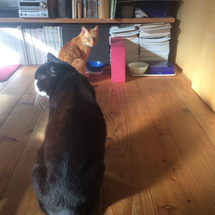 99a0f909 6207 43b8 9cfb caba7c5c3e66 1610339041136