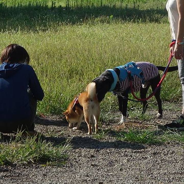 99a10005 0438 4c92 b63a 8cdfd449512f 1627861753693