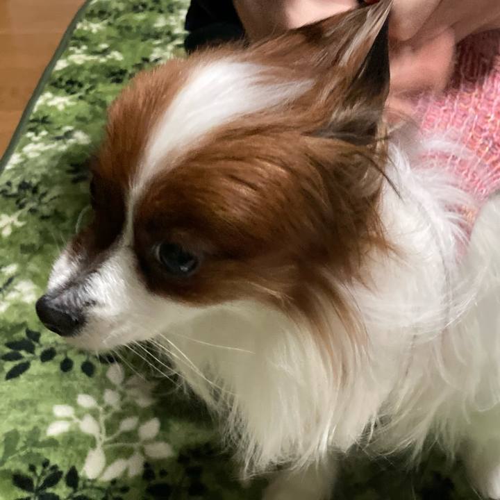 99a13a03 998d 4c9a 9ecf 04cf53d16af2 1639044633431