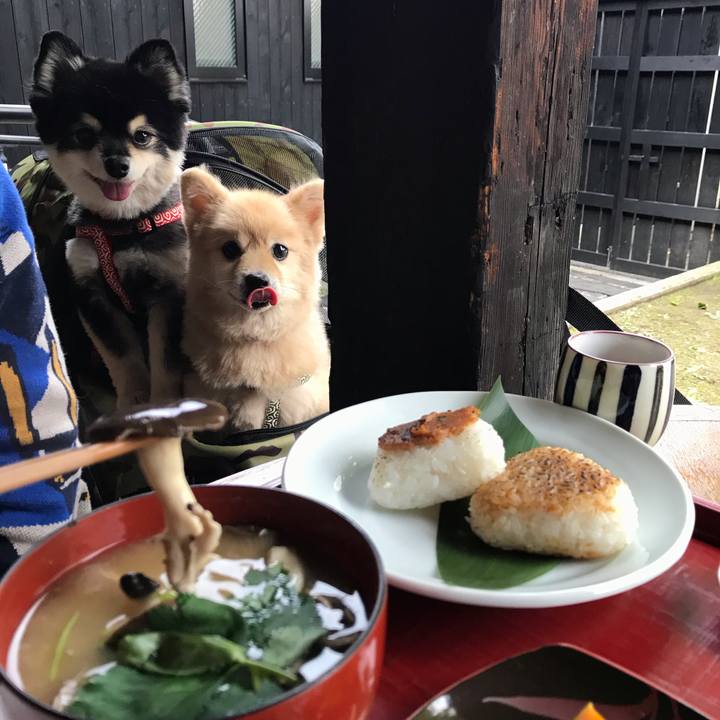 99a13df2 1269 42b0 acb0 81236d70f6ad 1606488618554