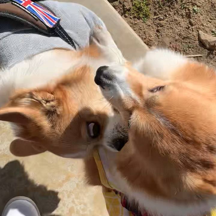 99a17b62 4a29 4dc2 a25b 607411de7294 1674184269457