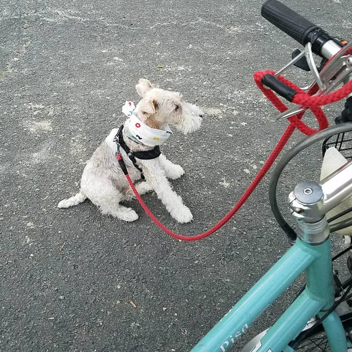 99a1adcd c452 432e a78d 7650c7238b51 1530618042346