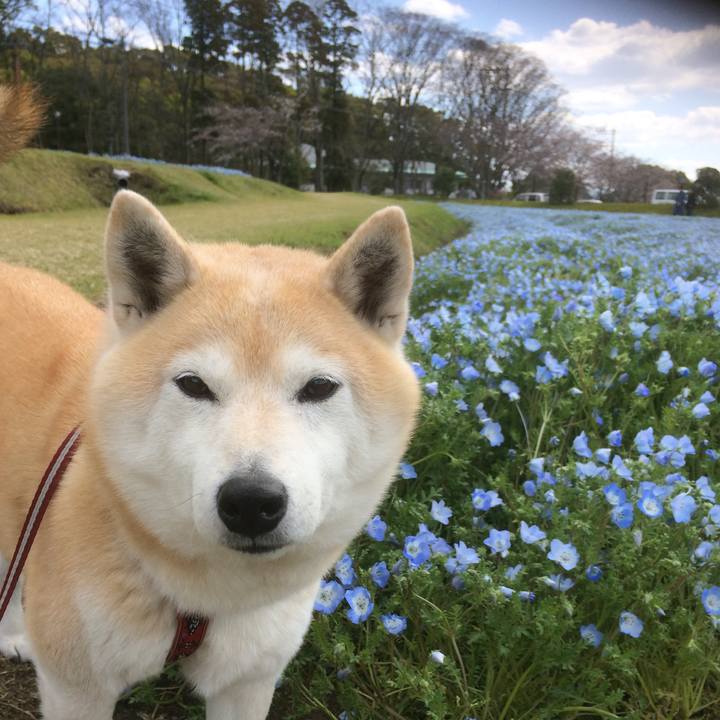 99a1bf0f f20b 4431 9082 170e6b355e18 1554483424909