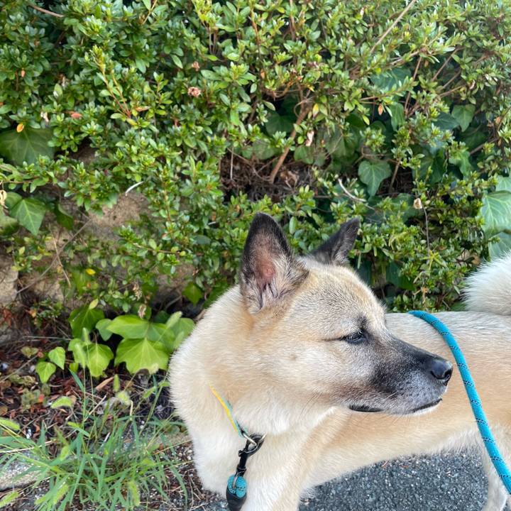 99a1cea0 49c0 4e63 92af a227586ffab4 1693830538950