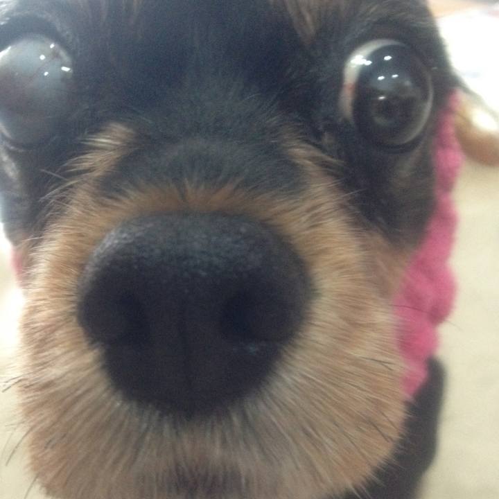 99a226be 740f 420b 9fc2 b43128659ff6 1611389786127