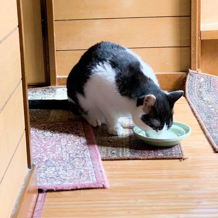 99a25260 391a 4afa bf8b 91c154326fe6 1565139308361