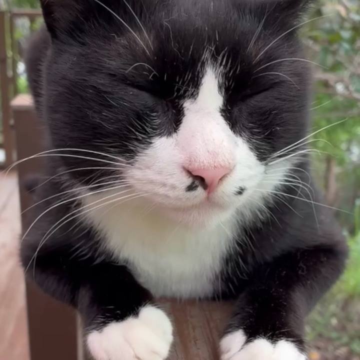 99a27d67 3fcb 4ff2 8e83 9b02567ae434 1758527202429