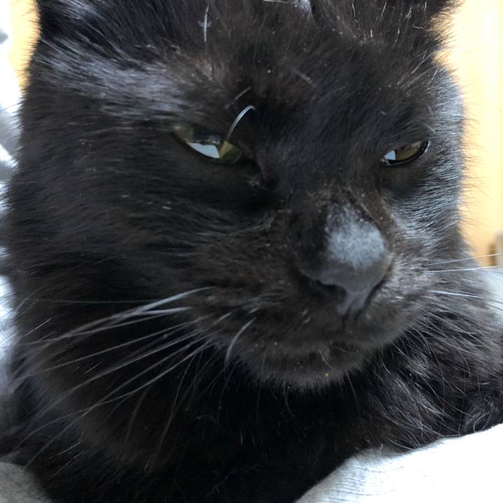 99a28622 853c 45cd b42f 26b296c016ac 1586861186133