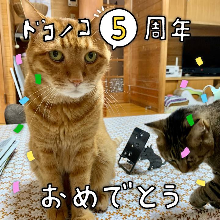 99a29574 8010 4eba a2a5 93960e8b62ca 1622858746823