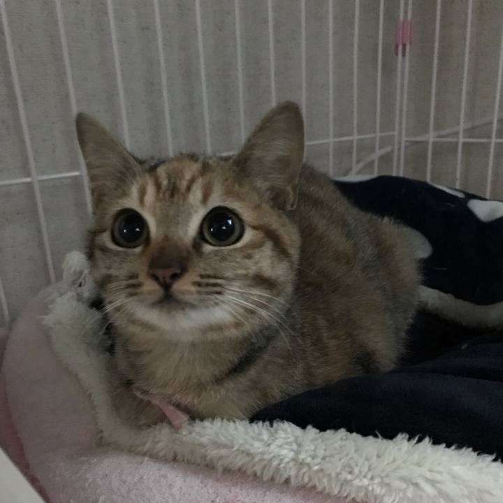 99a29ff0 a649 4057 b6f7 1ab020a5a17d 1544050768199