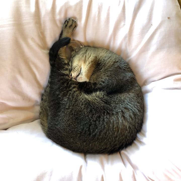 99a2a6fd 60b1 4386 8568 65426d4ca9f0 1591751590721