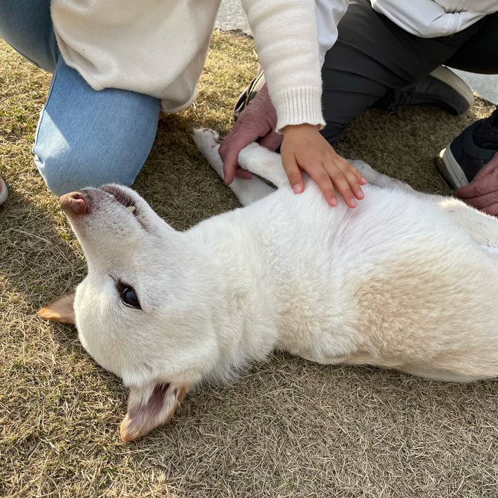 99a2b1e8 38b7 430e 8890 5445718b15e1 1678011649138