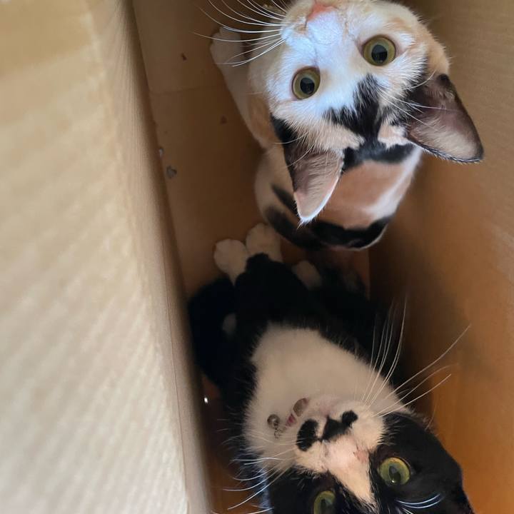 99a2b46f 123f 475b 8dc4 e5362aae086d 1670552147745