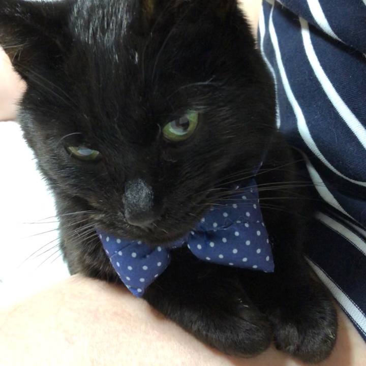 99a305f2 dcd4 4883 8022 c8dbf4db4c61 1553691525592