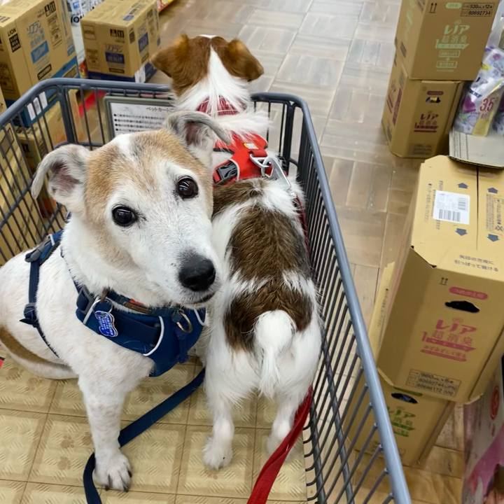 99a326aa 4fcd 47d6 8e39 37678525d136 1650187077082