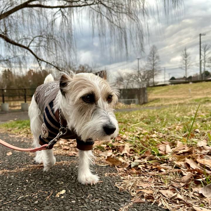 99a38700 cddb 4ee1 861c 8b163da07fc2 1706008550171