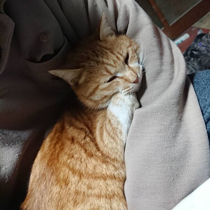 99a39782 4c9e 4c96 9f45 31a14c90bc01 1582057462146