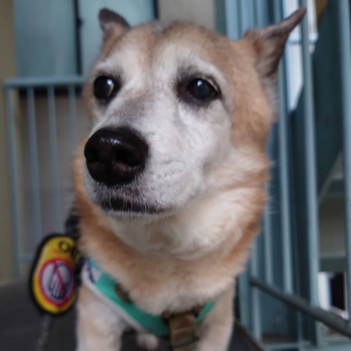 99a3a85c 8b54 4c1e b1f5 a3061a99492a 1715854778798