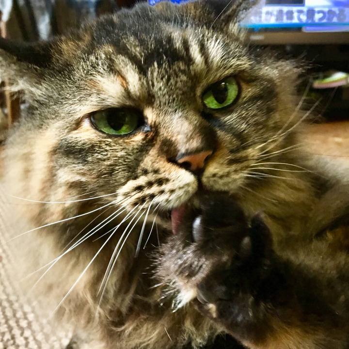 99a3e057 ffcf 42a6 b744 b7406a960a11 1572092986563