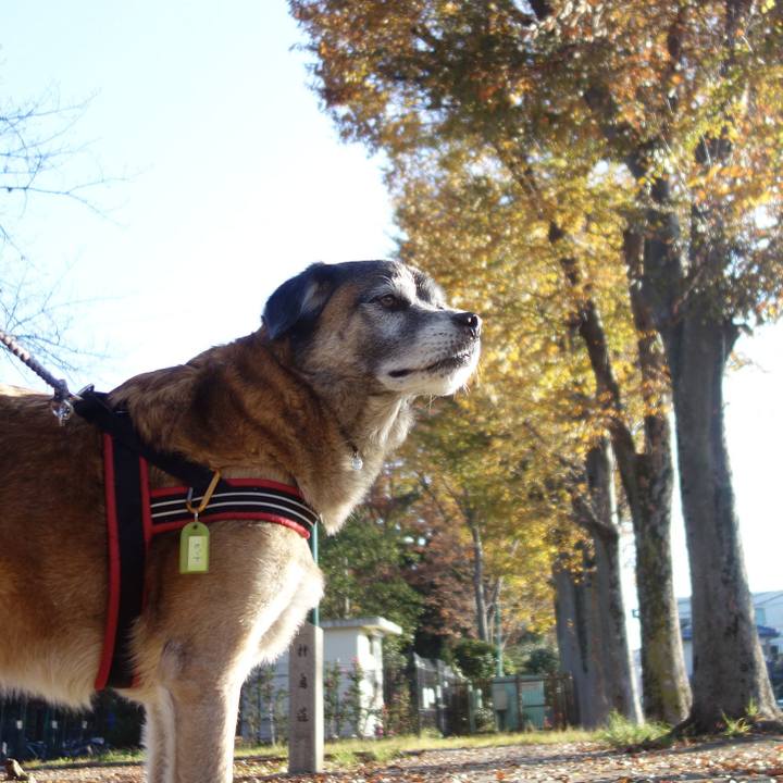 99a3ef58 01f1 4a4d bb97 0d91bb50967f 1543366474642