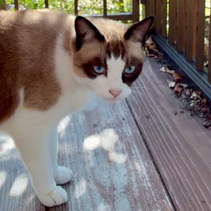 99a4022c 3201 4a6f b835 45f2087b7886 1762480710446