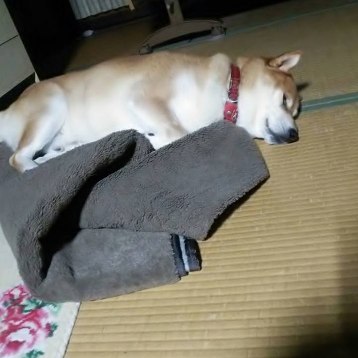 99a405ad 6d0f 4b79 a4ad 824a01bf25d0 1508591052815