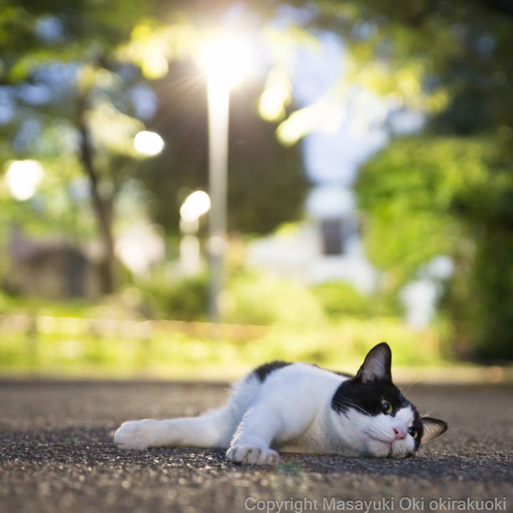 99a409f2 f5d4 4d02 9f00 711895413c27 1584486369717