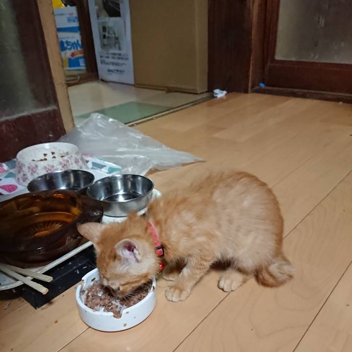 99a44657 4b9f 484e b49a dc9d2dbc2a8d 1629195289101