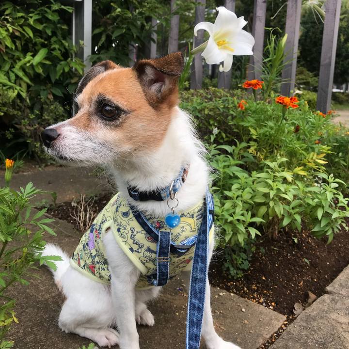 99a475e2 81f4 406e a5cf 5db6ad739f1f 1534117041664