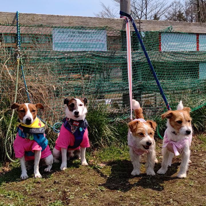 99a47aca b10a 4103 bfe5 06fe9edd0520 1649665263409