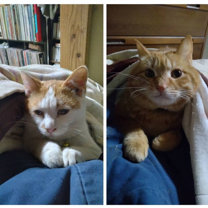 99a48cff fe85 43b7 beb8 2339a12dee0c 1739706844381