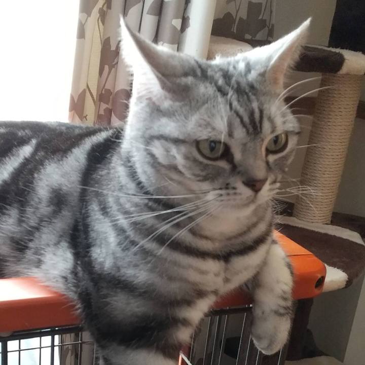 99a4e164 f228 4abf a844 5852423d7b0c 1683935814028