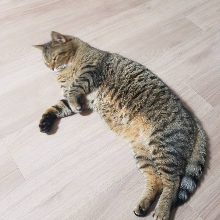 99a50244 2c3e 4308 92b0 b50a2aa15763 1571173575483